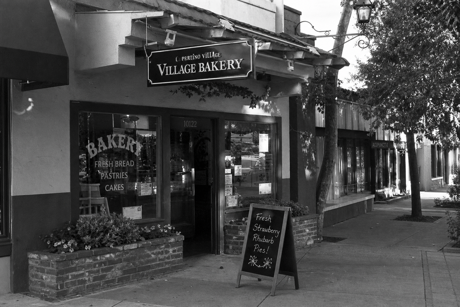 Free Websites for Local Businesses
